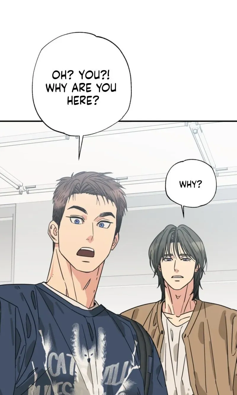 Cat Choice Chapter 18 page 44 - 
