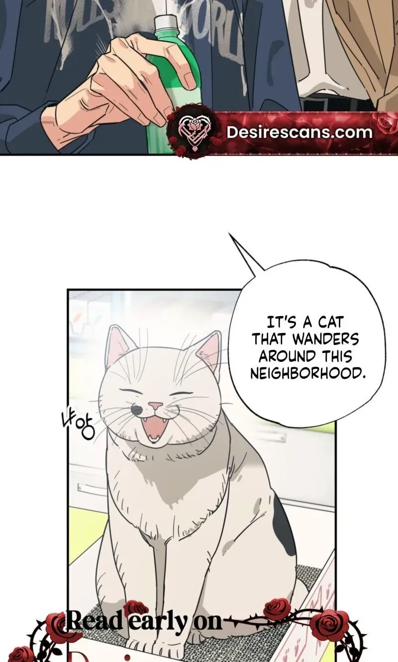 Cat Choice Chapter 18 page 45 - 