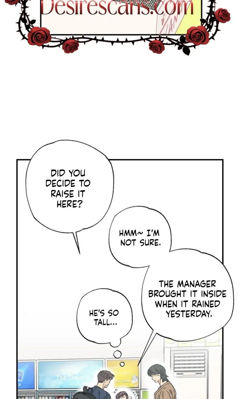 Cat Choice Chapter 18 page 46 - 