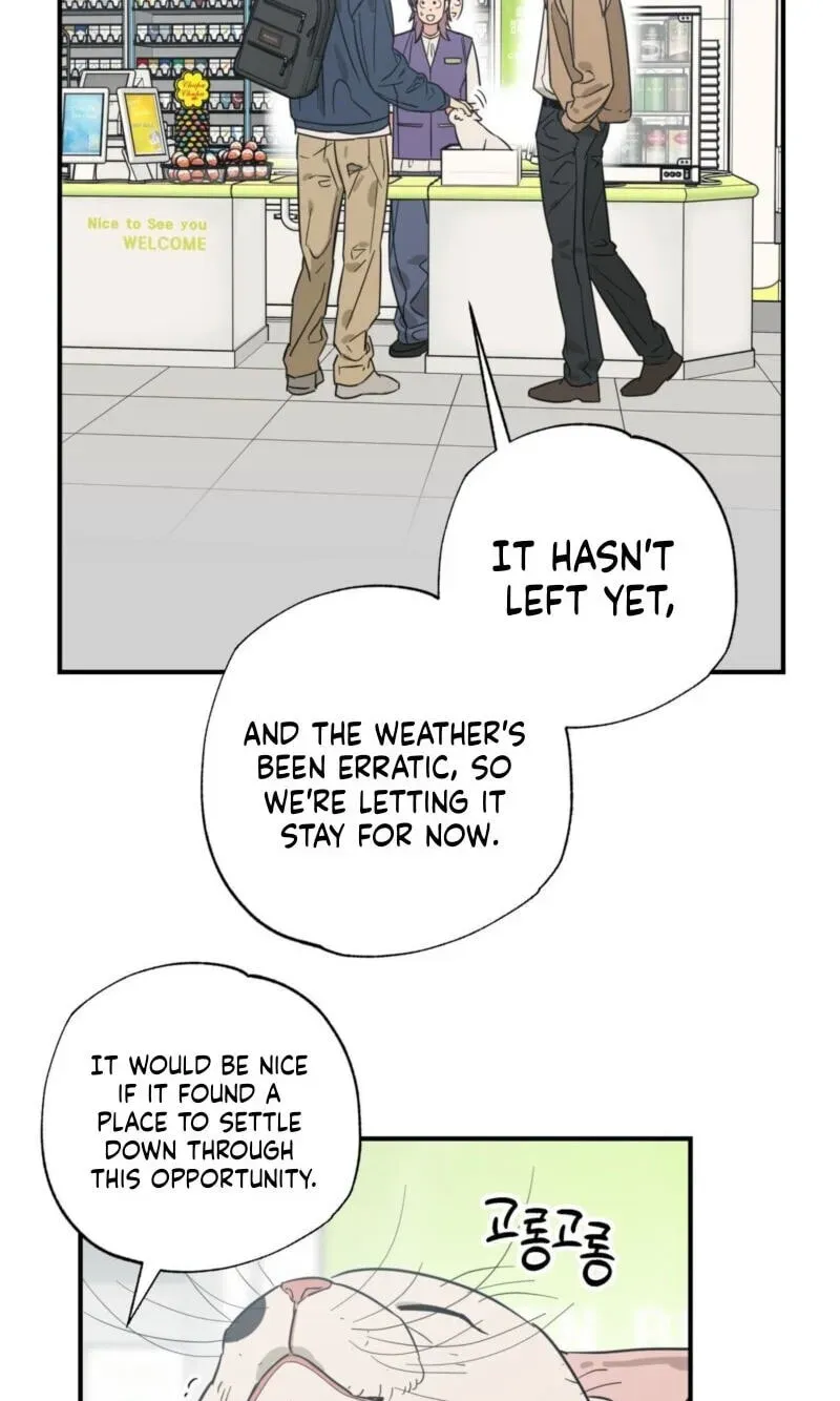 Cat Choice Chapter 18 page 47 - 