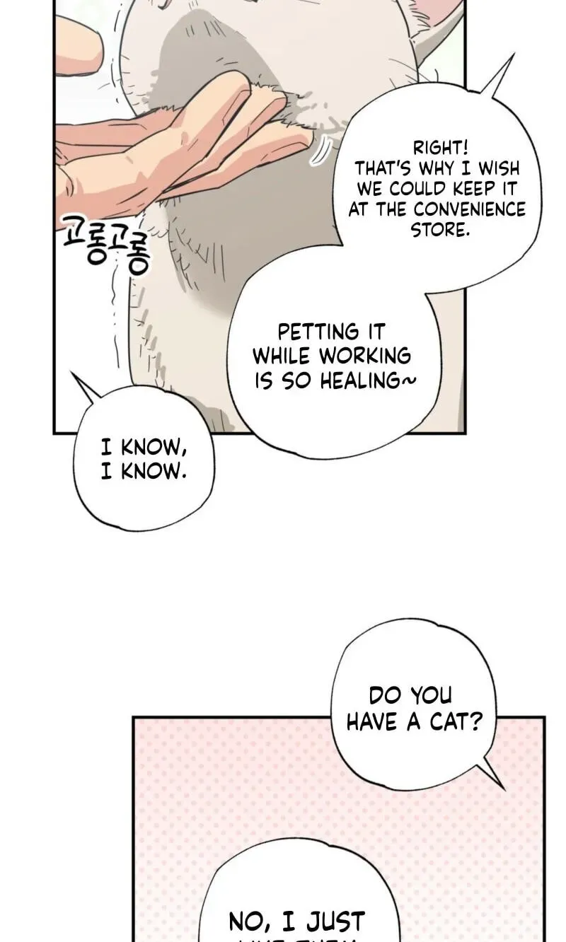 Cat Choice Chapter 18 page 48 - 