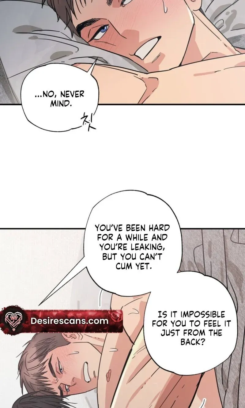 Cat Choice Chapter 19 page 15 - 
