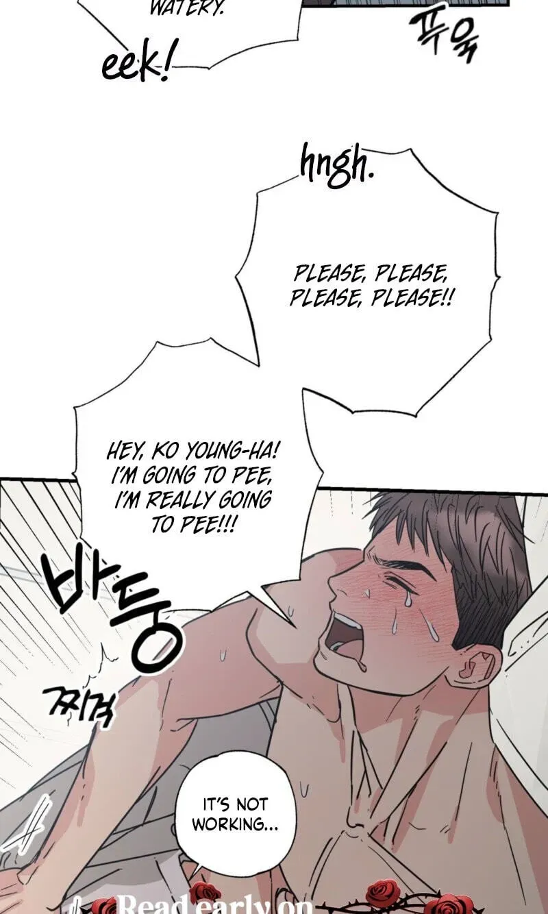 Cat Choice Chapter 19 page 37 - 