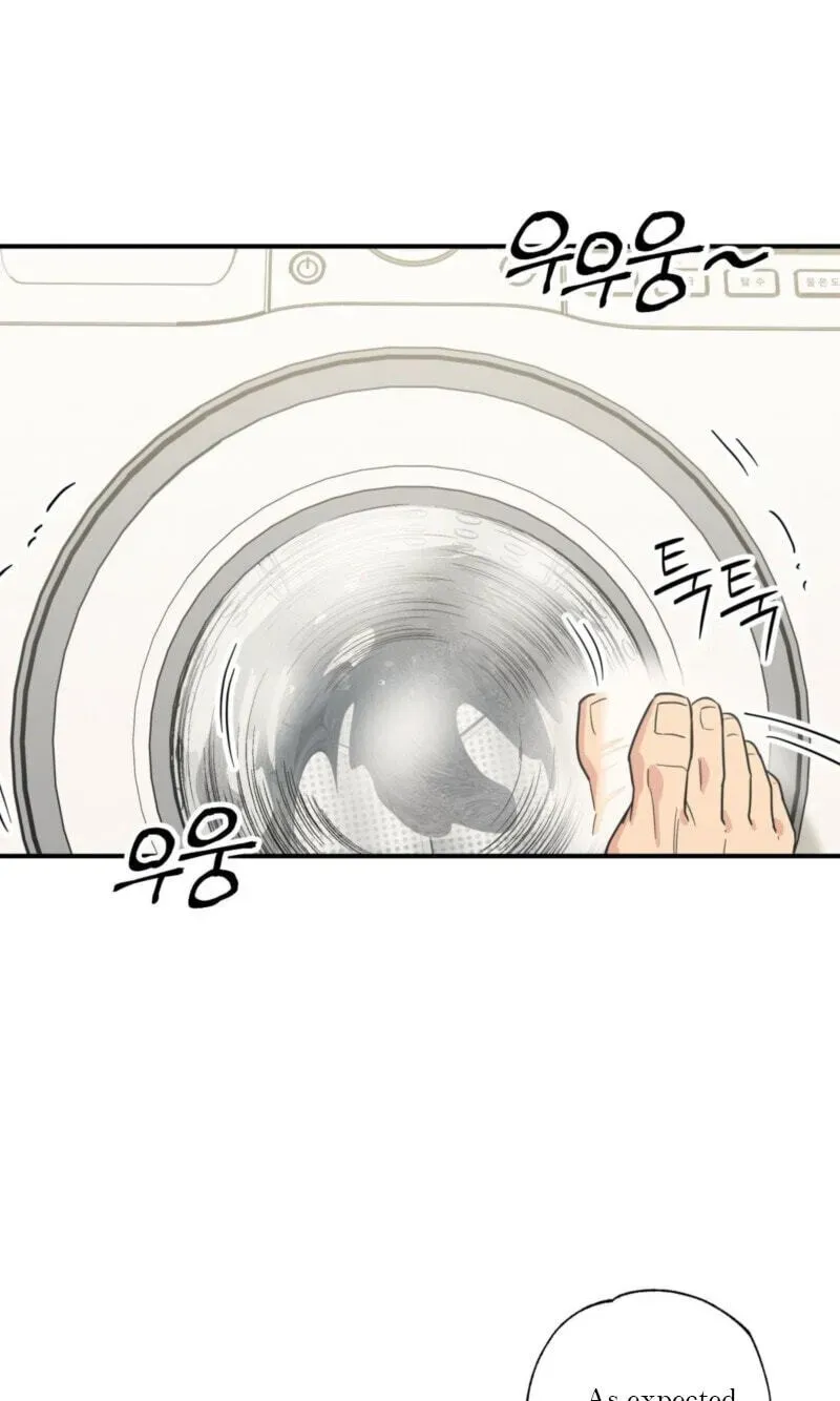 Cat Choice Chapter 20 page 28 - 
