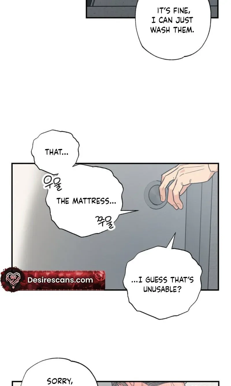 Cat Choice Chapter 20 page 32 - 