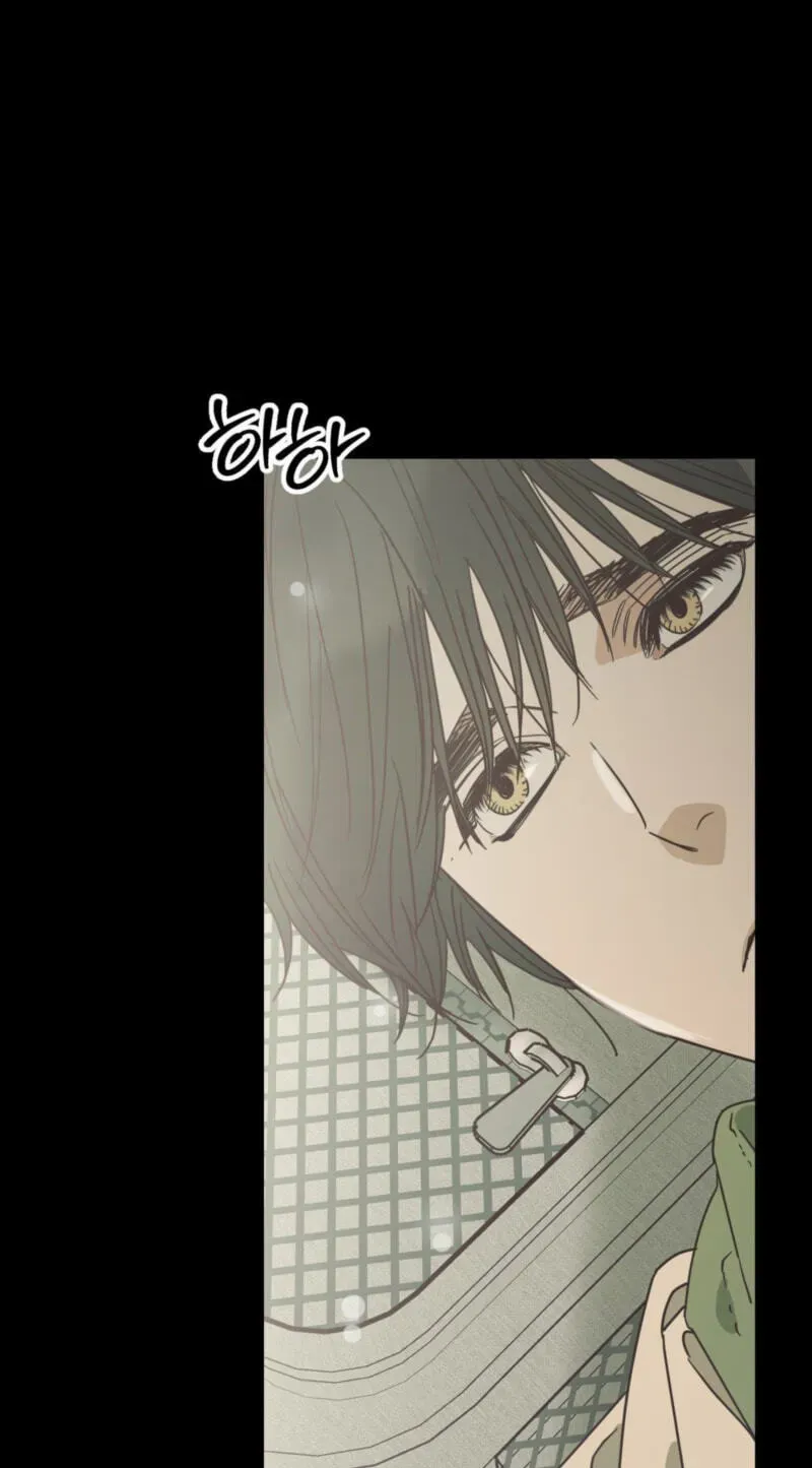 Cat Choice Chapter 22 page 12 - 