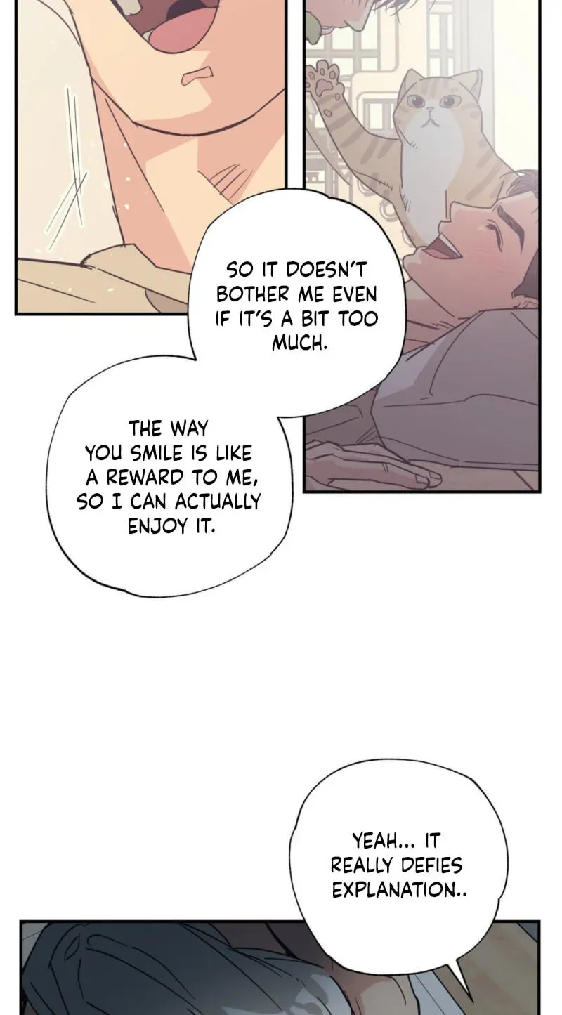Cat Choice Chapter 22 page 43 - 