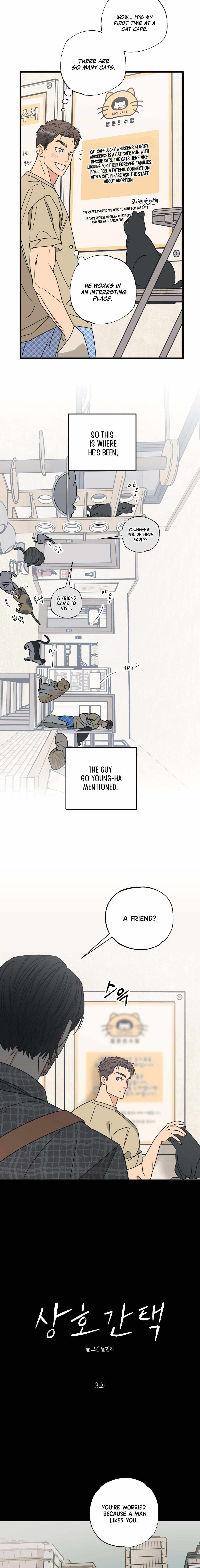 Cat Choice Chapter 3 page 3 - 