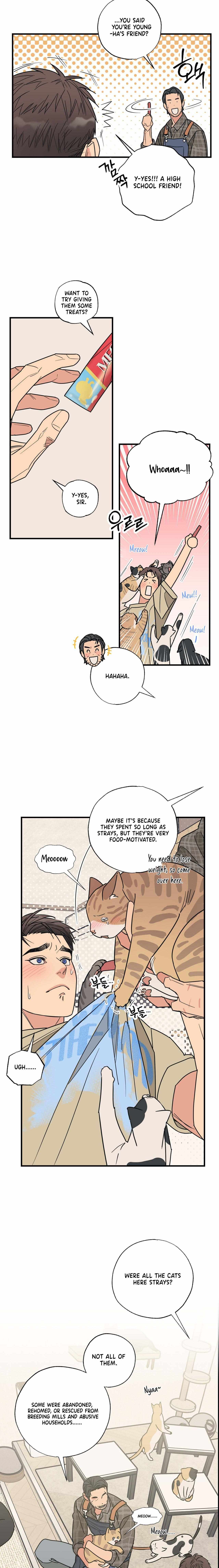 Cat Choice Chapter 3 page 7 - 