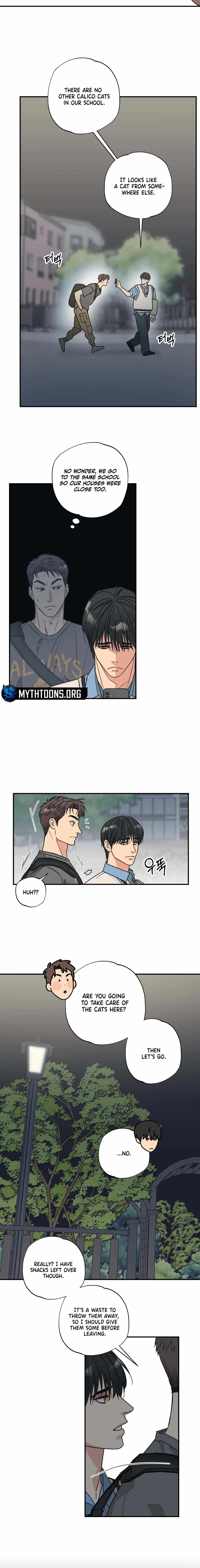 Cat Choice Chapter 5 page 6 - 
