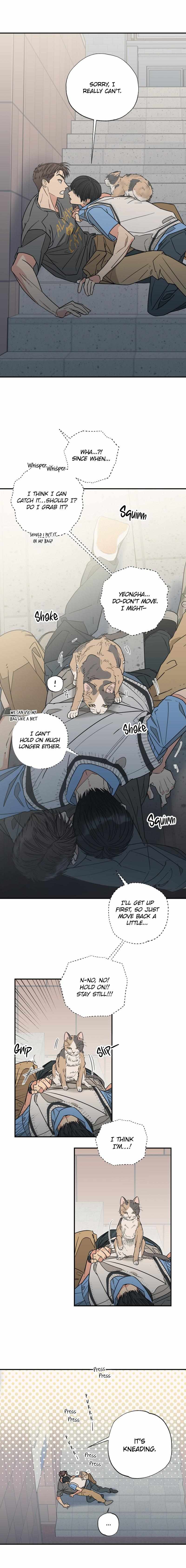 Cat Choice Chapter 7 page 7 - 