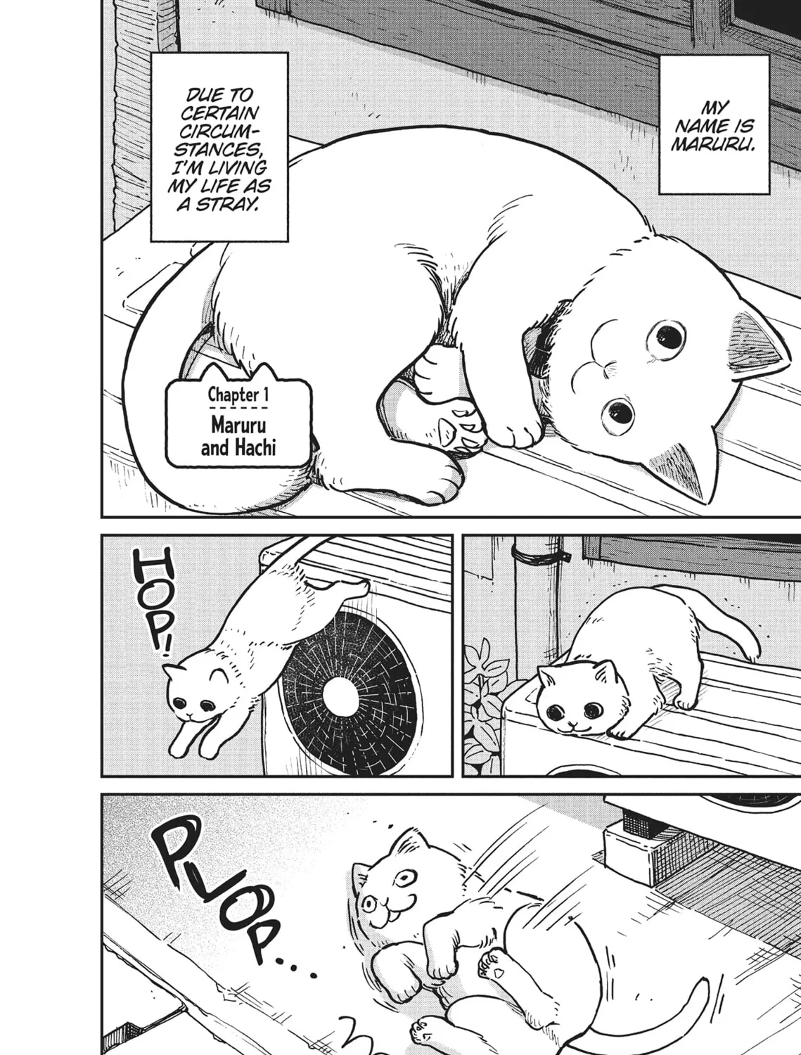 Cat Companions Maruru and Hachi Chapter 1 page 1 - 