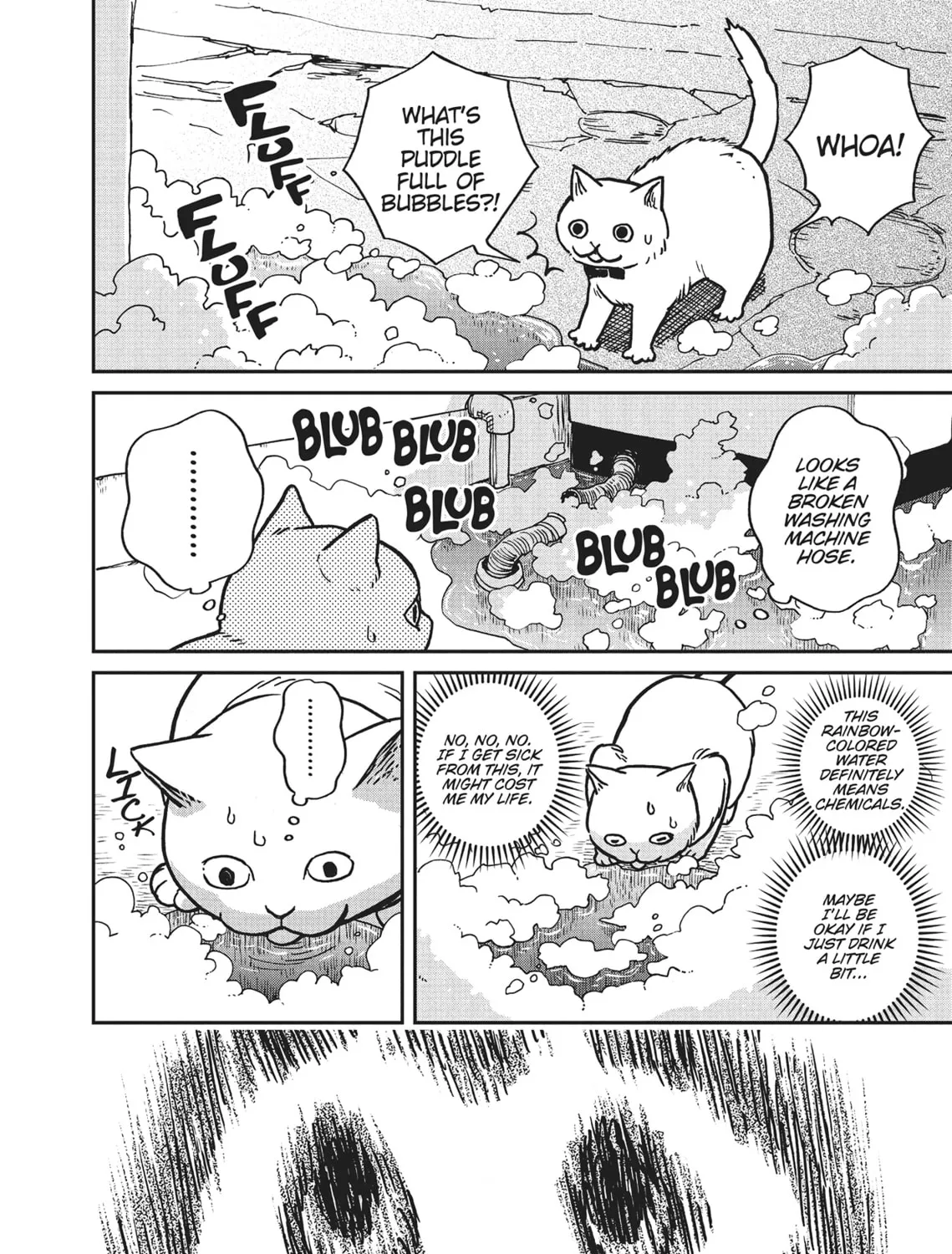 Cat Companions Maruru and Hachi Chapter 1 page 13 - 