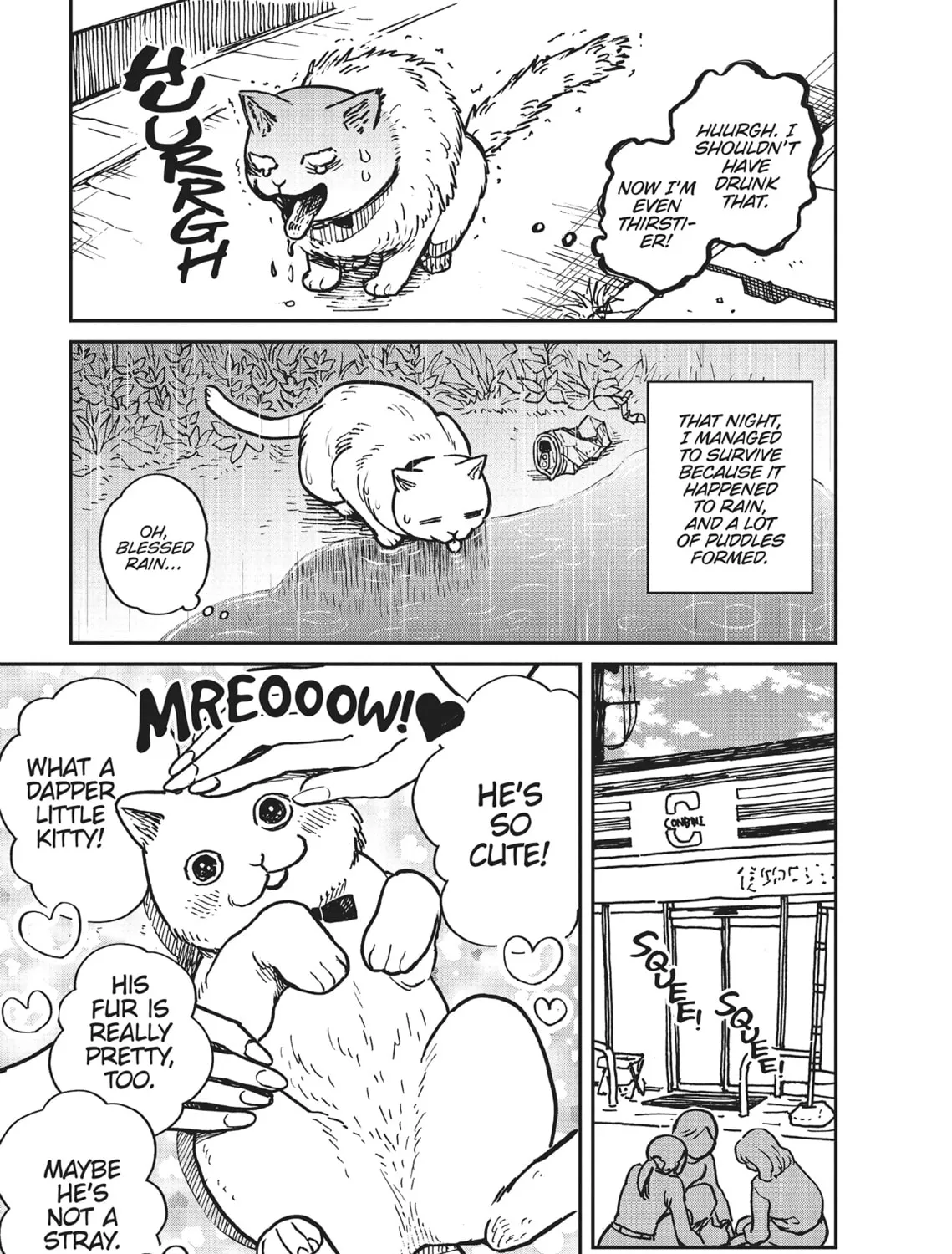 Cat Companions Maruru and Hachi Chapter 1 page 15 - 