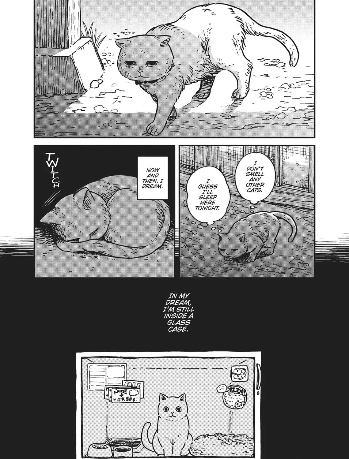 Cat Companions Maruru and Hachi Chapter 1 page 19 - 