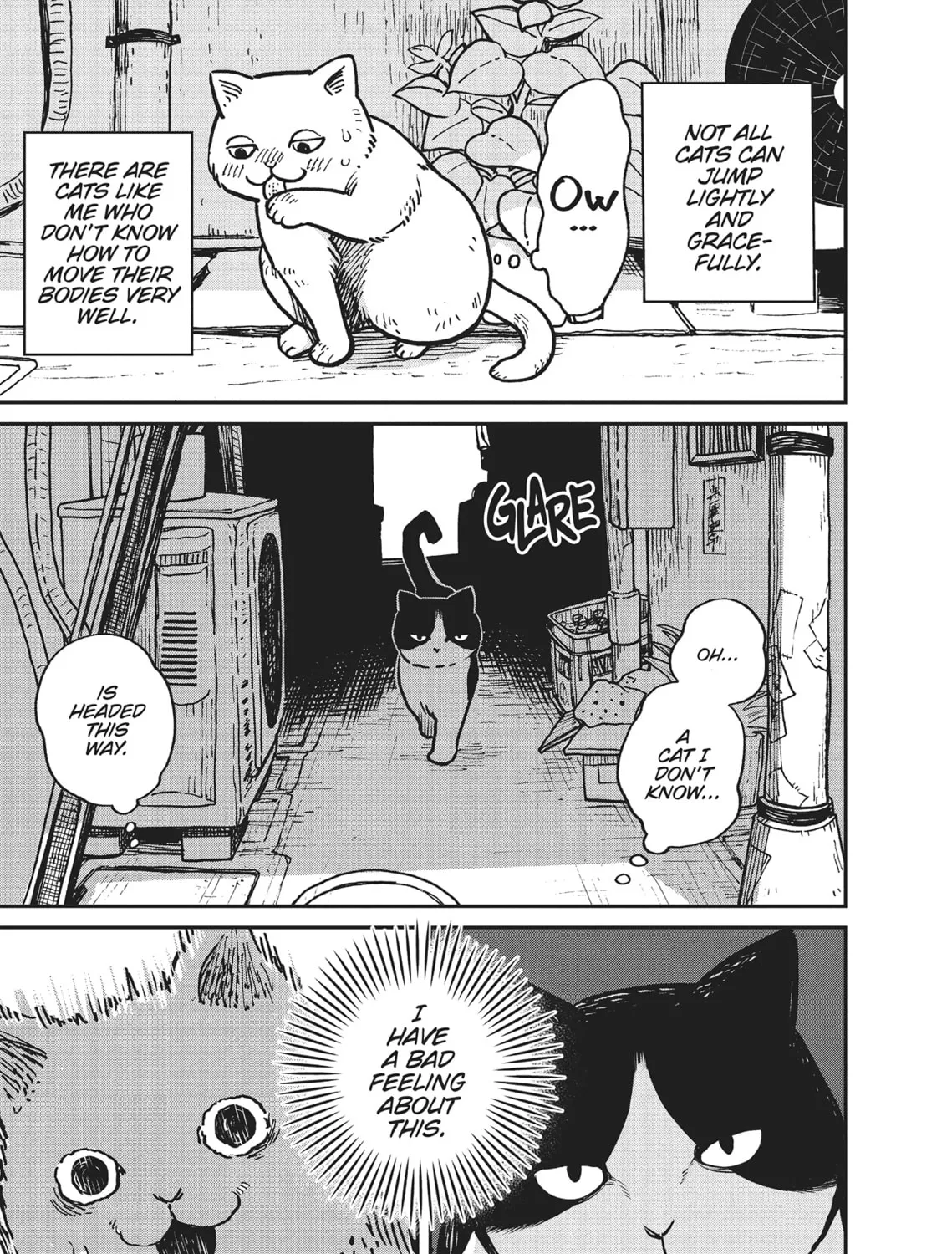 Cat Companions Maruru and Hachi Chapter 1 page 3 - 