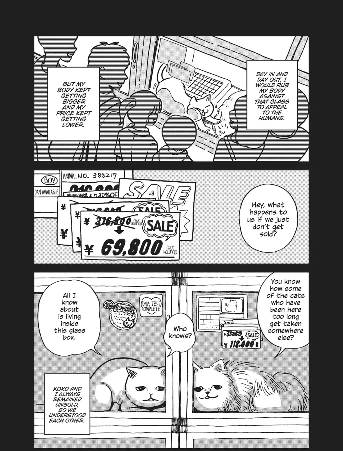 Cat Companions Maruru and Hachi Chapter 1 page 21 - 