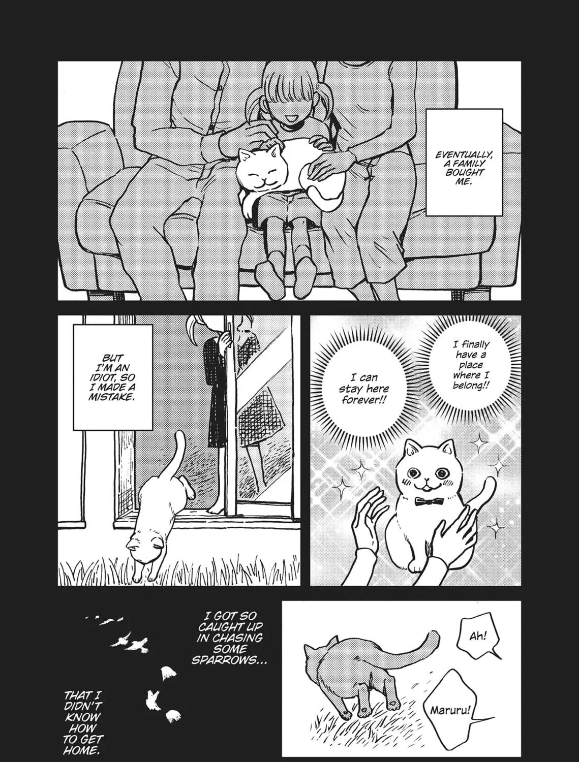 Cat Companions Maruru and Hachi Chapter 1 page 23 - 