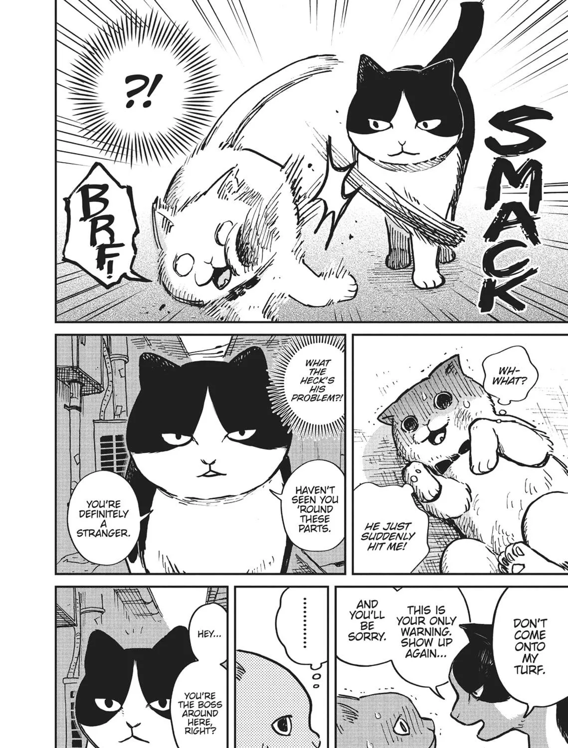 Cat Companions Maruru and Hachi Chapter 1 page 5 - 