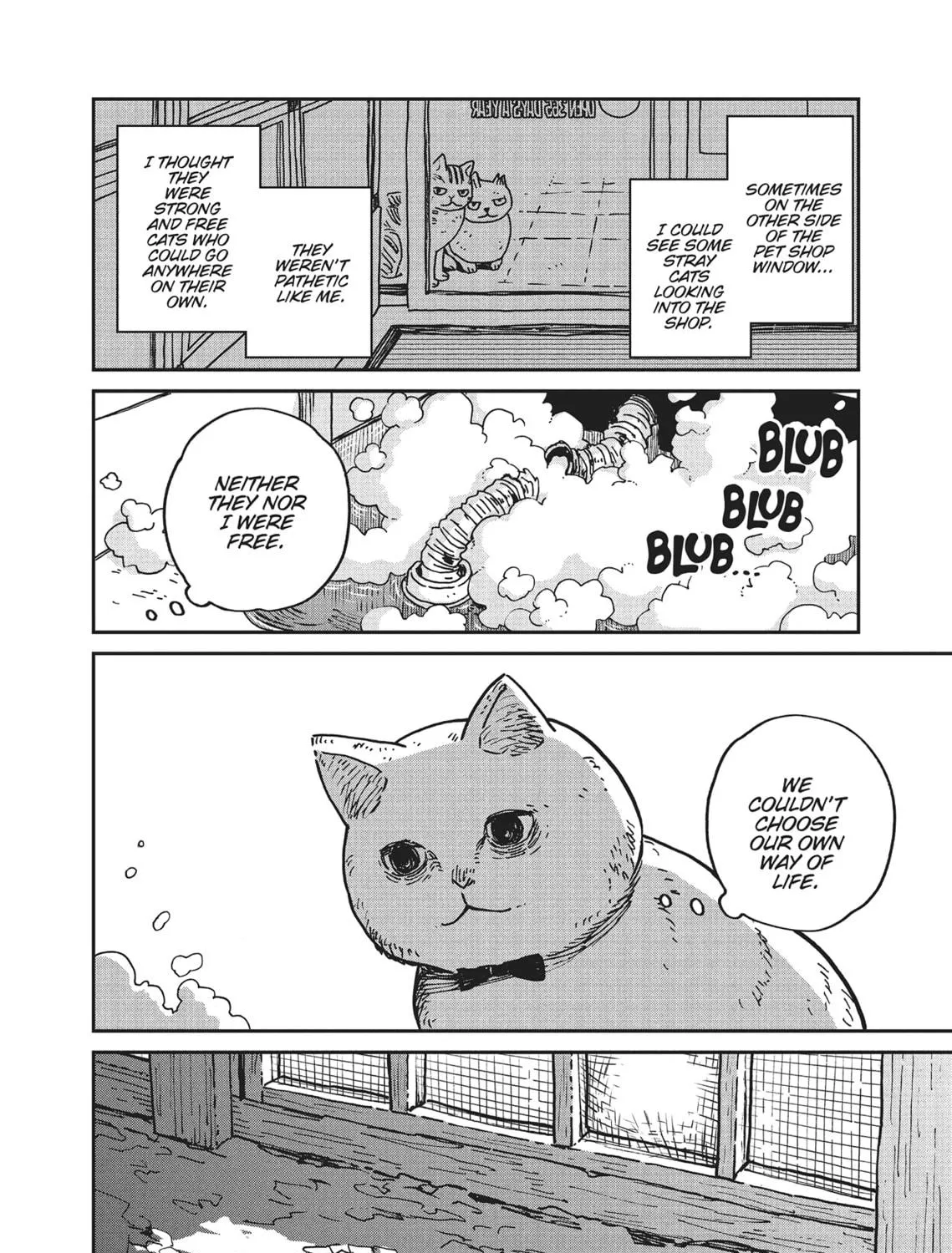 Cat Companions Maruru and Hachi Chapter 1 page 41 - 