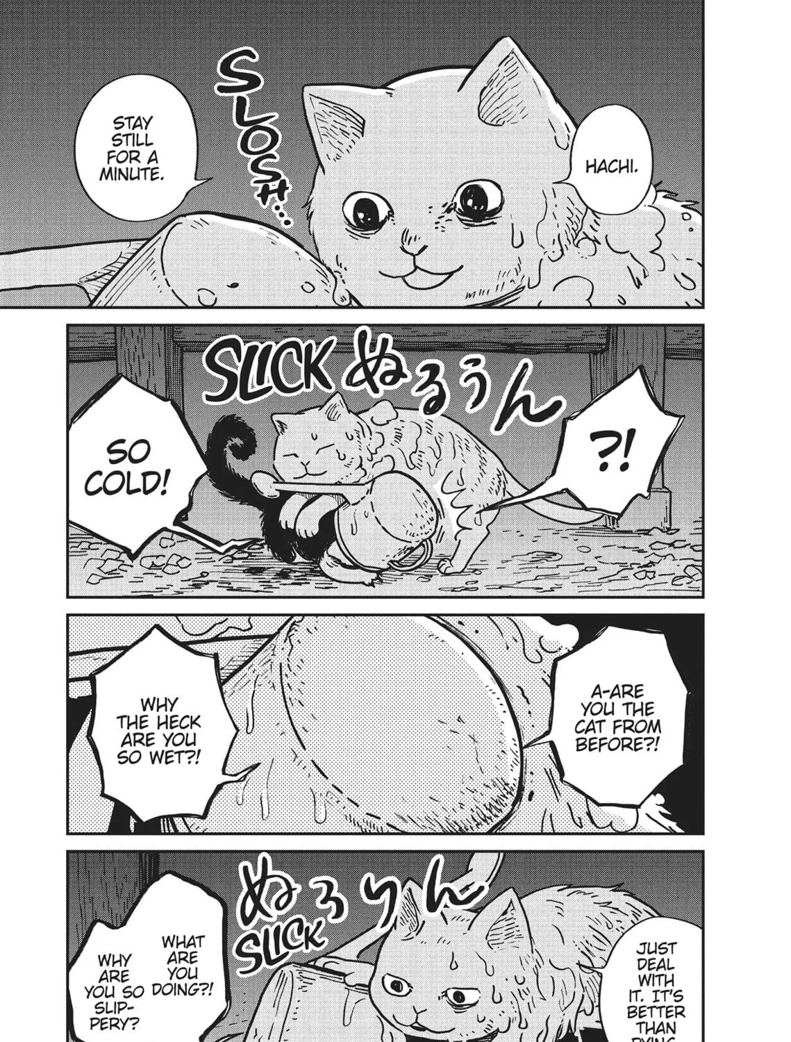 Cat Companions Maruru and Hachi Chapter 1 page 47 - 