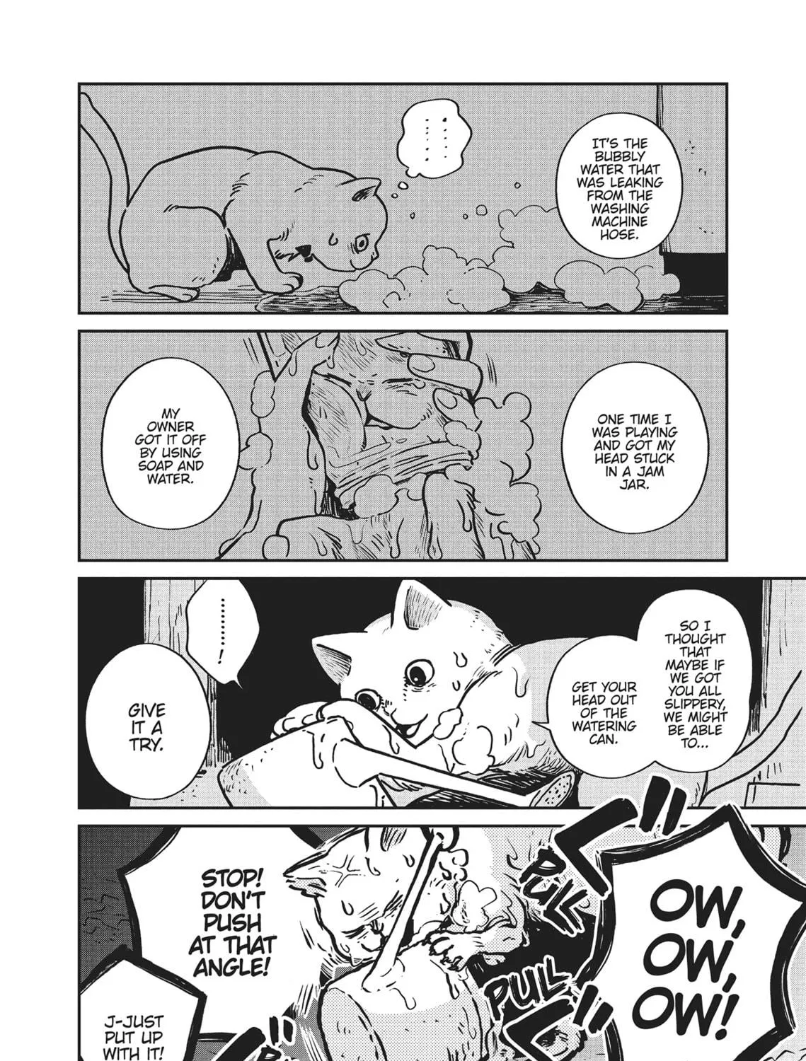 Cat Companions Maruru and Hachi Chapter 1 page 49 - 