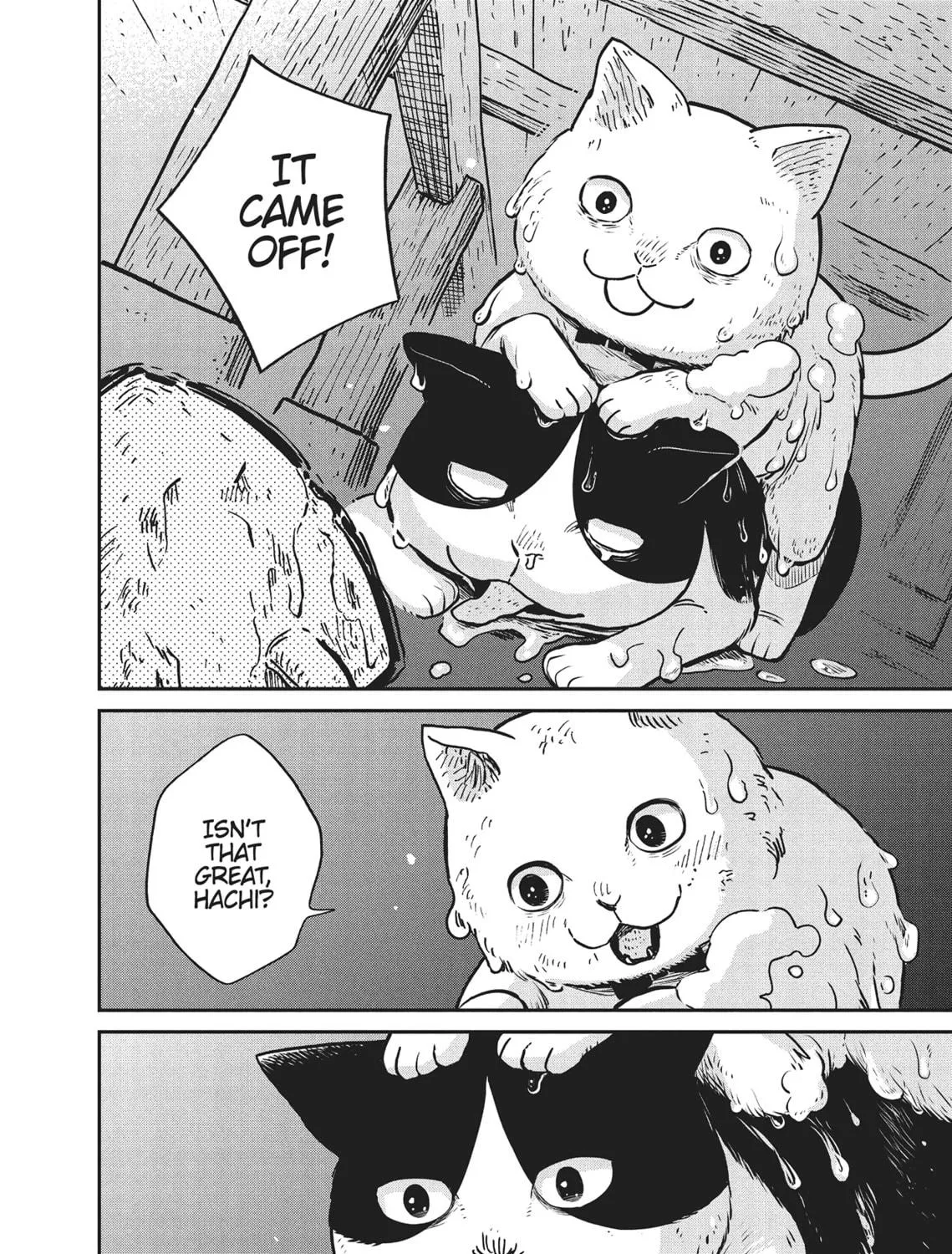 Cat Companions Maruru and Hachi Chapter 1 page 53 - 