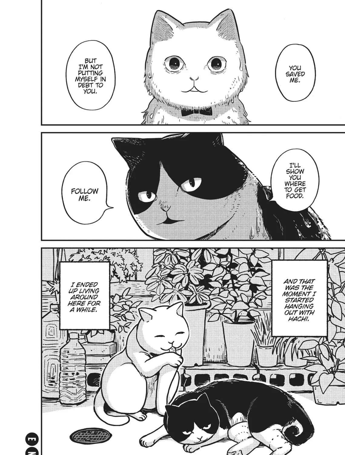 Cat Companions Maruru and Hachi Chapter 1 page 57 - 