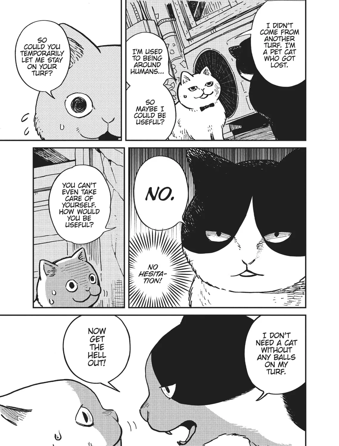 Cat Companions Maruru and Hachi Chapter 1 page 7 - 