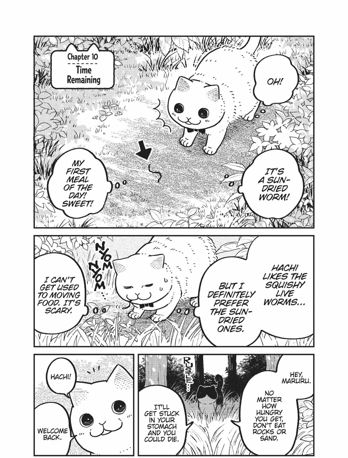 Cat Companions Maruru and Hachi Chapter 10 page 1 - 