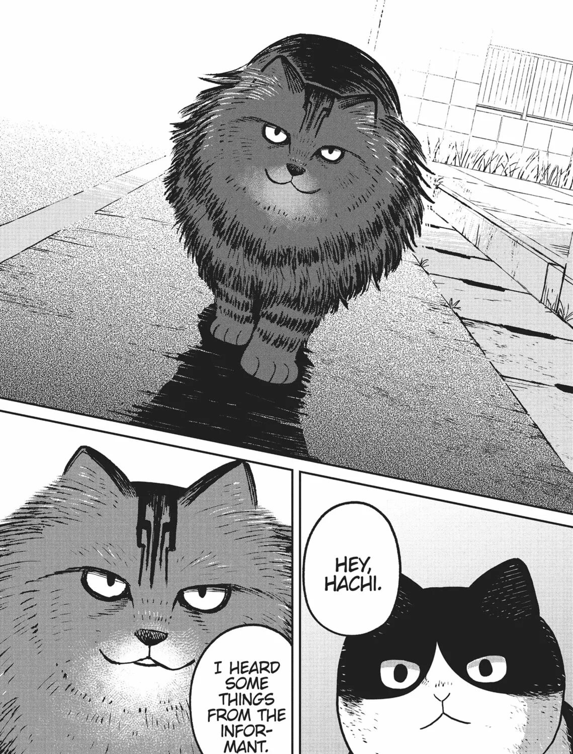 Cat Companions Maruru and Hachi Chapter 10 page 15 - 