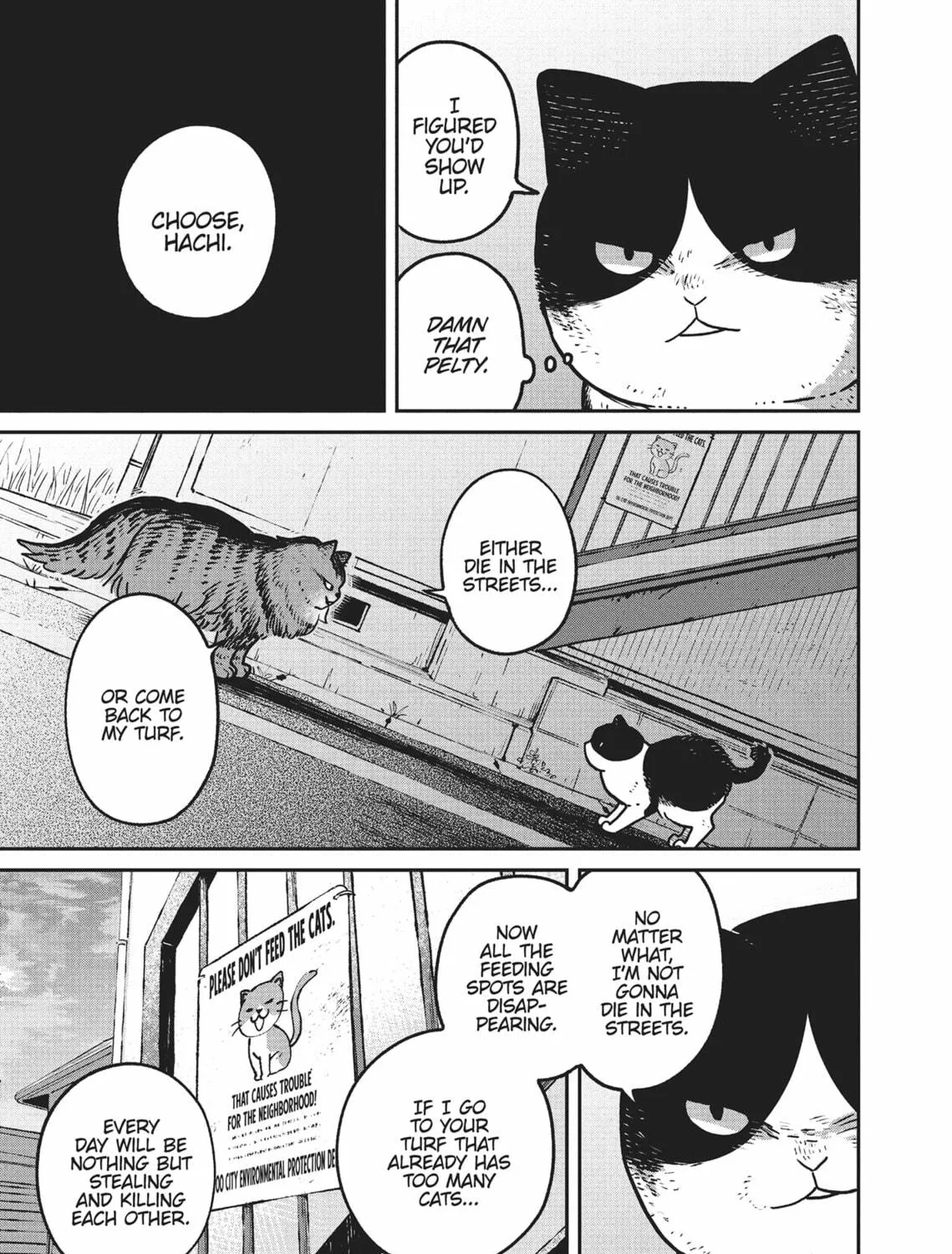 Cat Companions Maruru and Hachi Chapter 10 page 17 - 