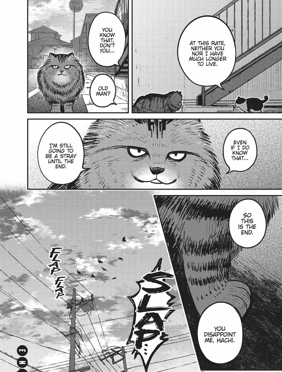 Cat Companions Maruru and Hachi Chapter 10 page 19 - 