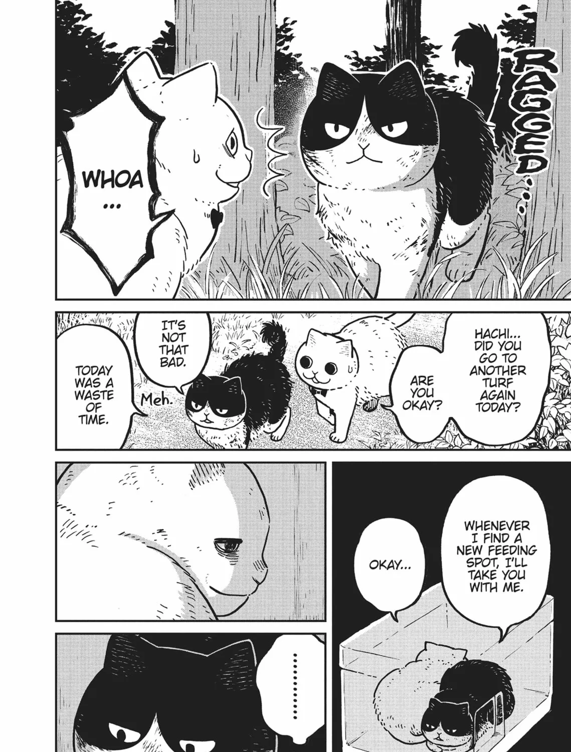 Cat Companions Maruru and Hachi Chapter 10 page 3 - 