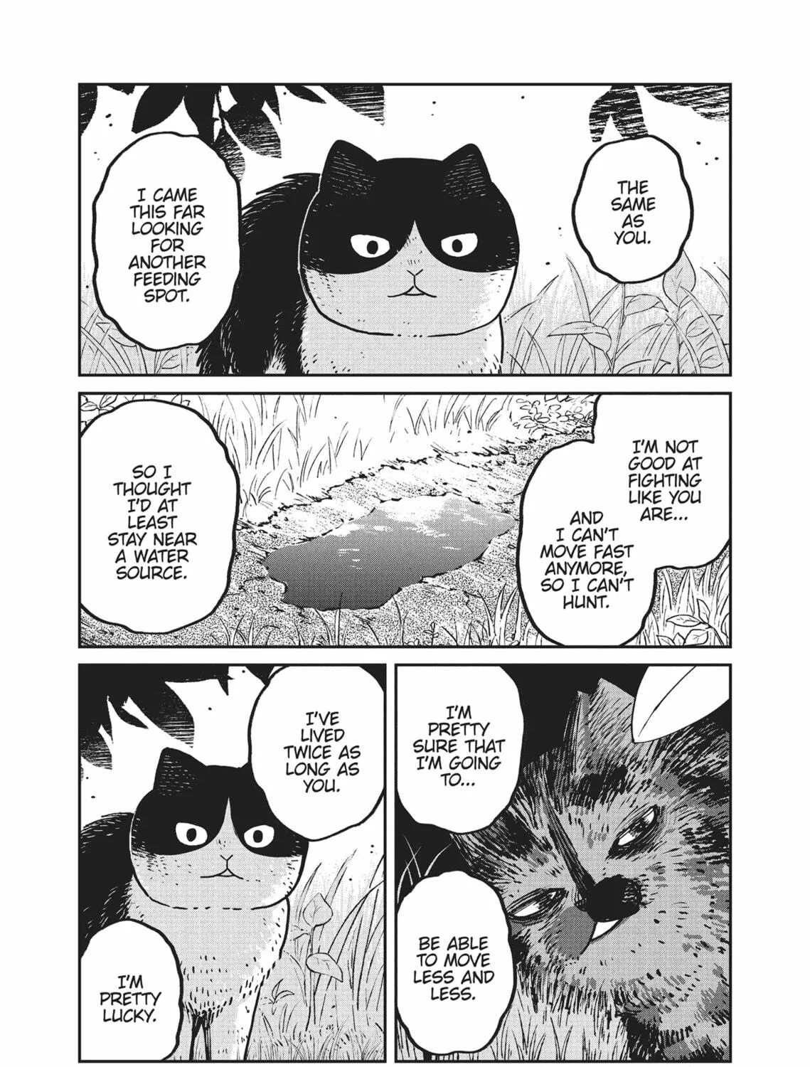 Cat Companions Maruru and Hachi Chapter 10 page 9 - 