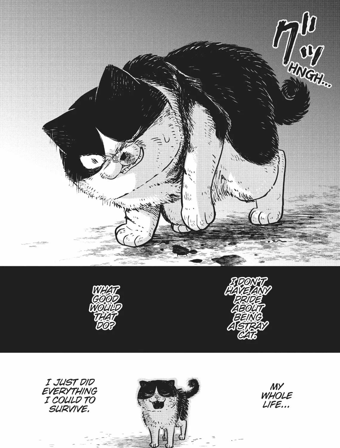 Cat Companions Maruru and Hachi Chapter 11 page 11 - 