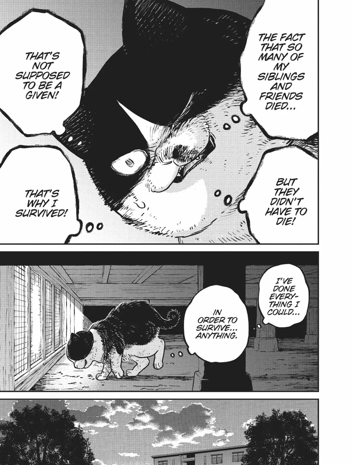 Cat Companions Maruru and Hachi Chapter 11 page 13 - 