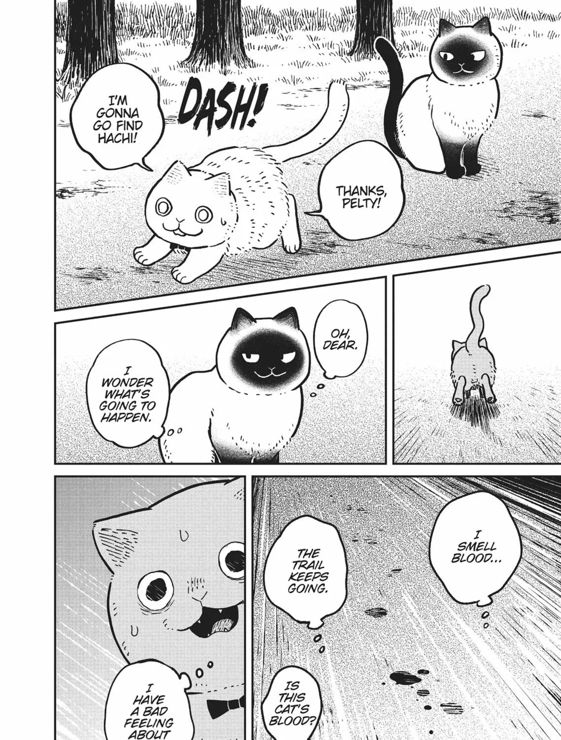 Cat Companions Maruru and Hachi Chapter 11 page 19 - 