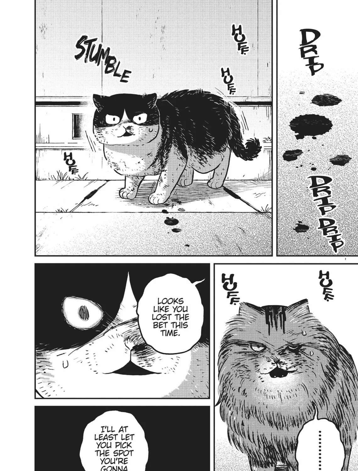 Cat Companions Maruru and Hachi Chapter 11 page 3 - 