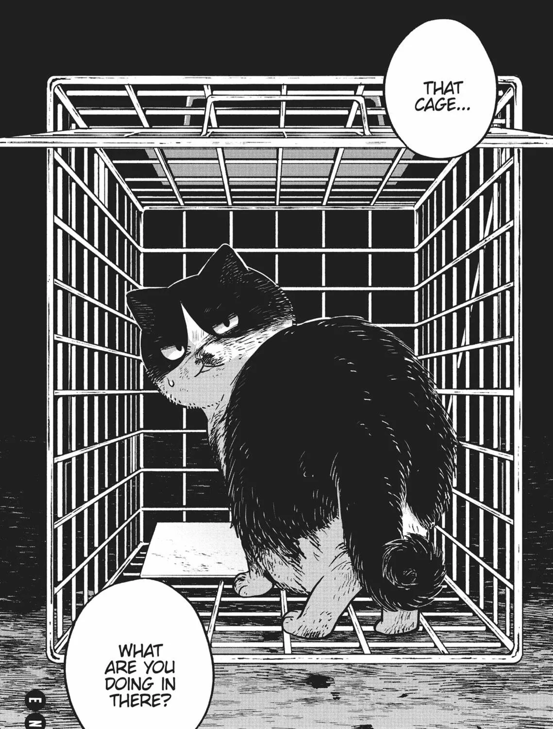 Cat Companions Maruru and Hachi Chapter 11 page 23 - 