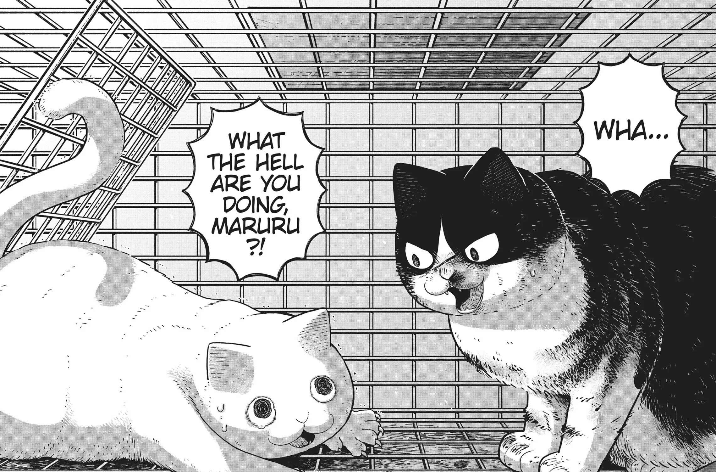 Cat Companions Maruru and Hachi Chapter 12 page 11 - 
