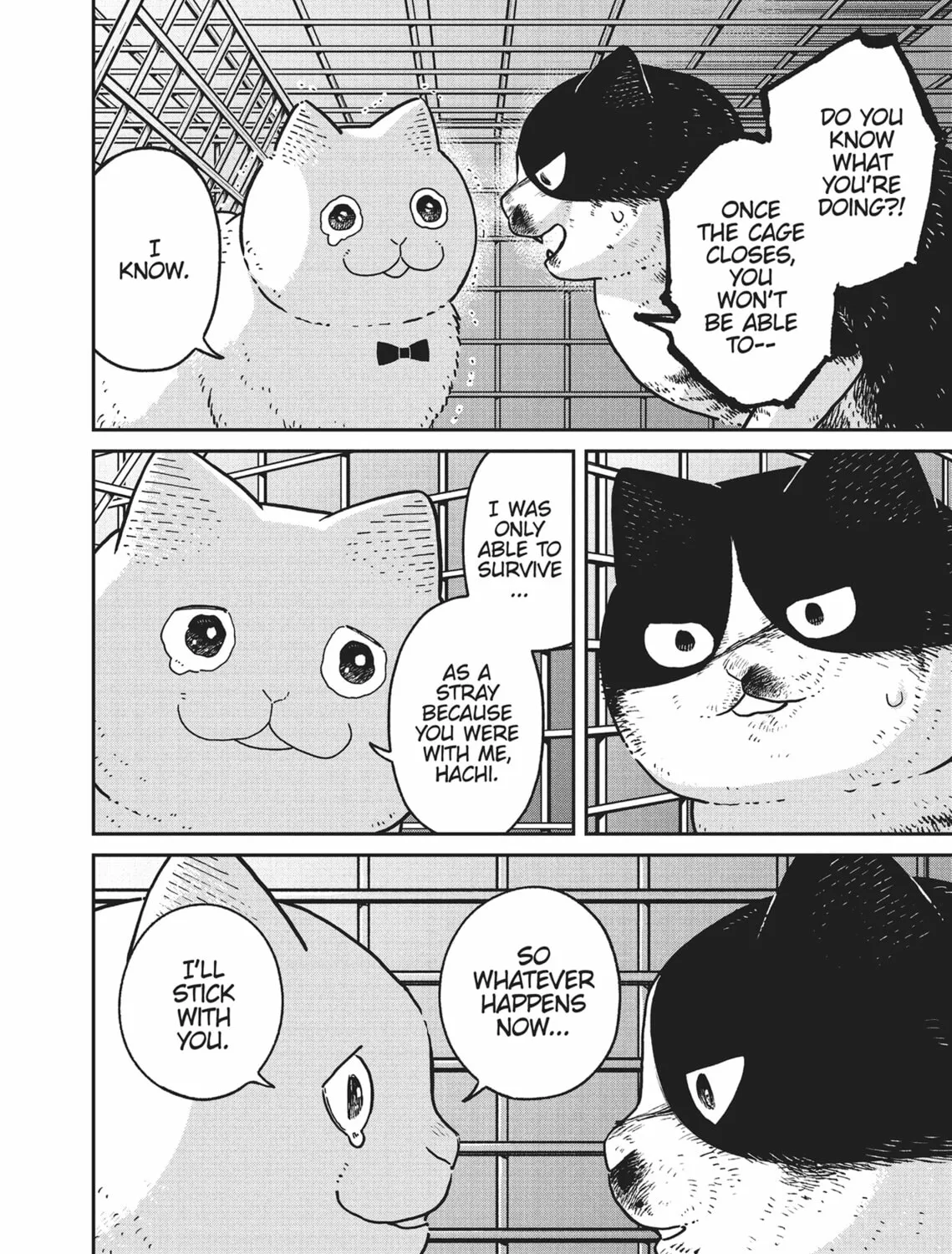 Cat Companions Maruru and Hachi Chapter 12 page 13 - 