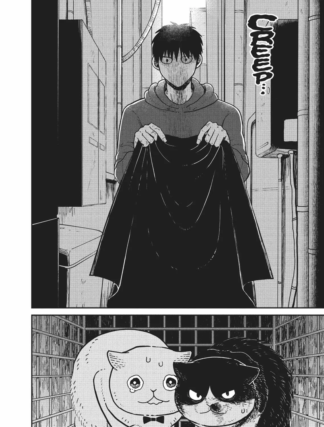 Cat Companions Maruru and Hachi Chapter 12 page 17 - 
