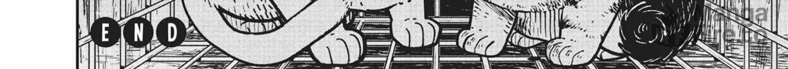 Cat Companions Maruru and Hachi Chapter 12 page 18 - 