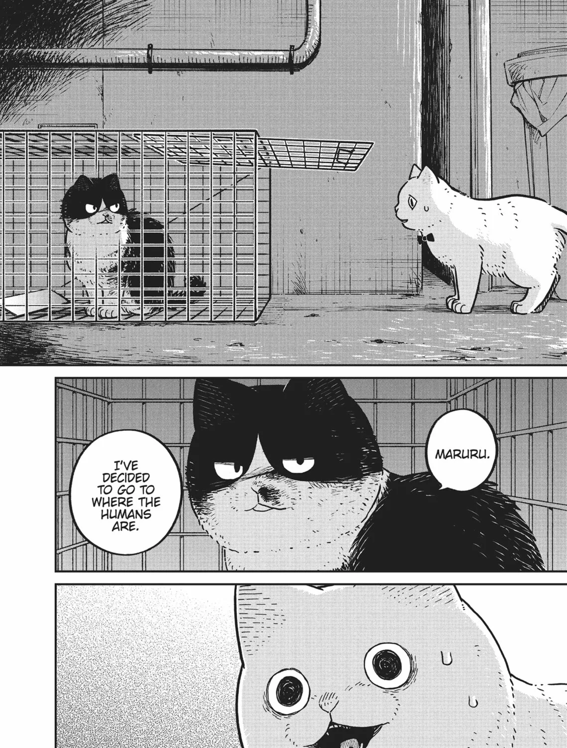 Cat Companions Maruru and Hachi Chapter 12 page 3 - 