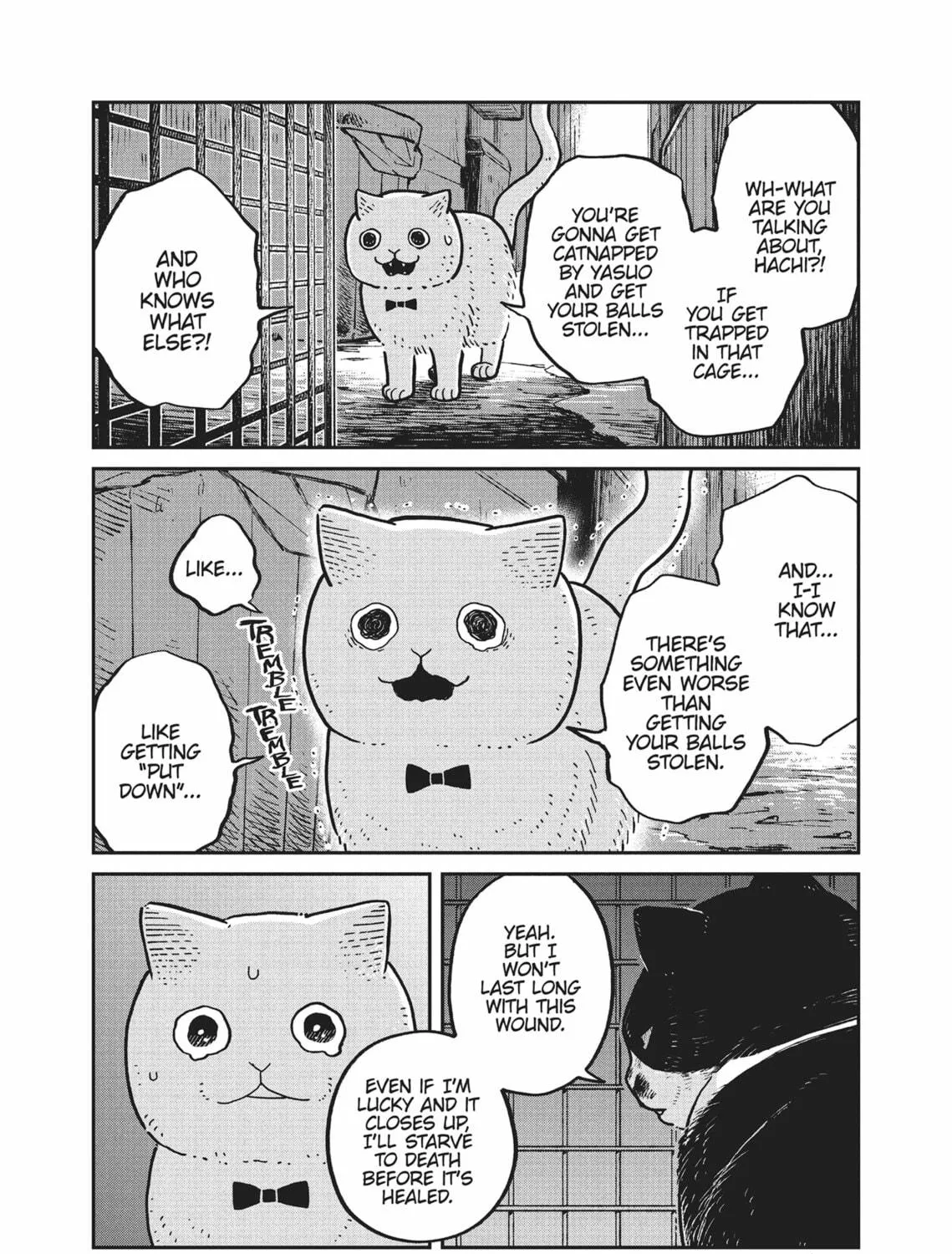 Cat Companions Maruru and Hachi Chapter 12 page 5 - 