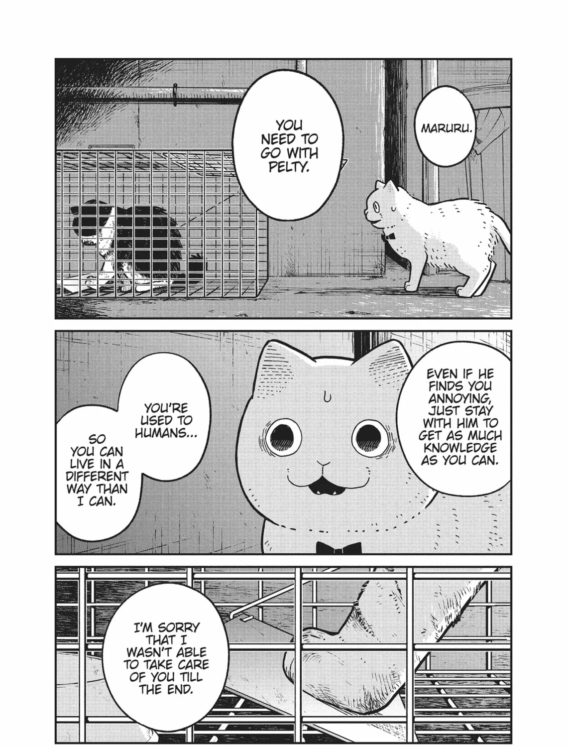 Cat Companions Maruru and Hachi Chapter 12 page 7 - 