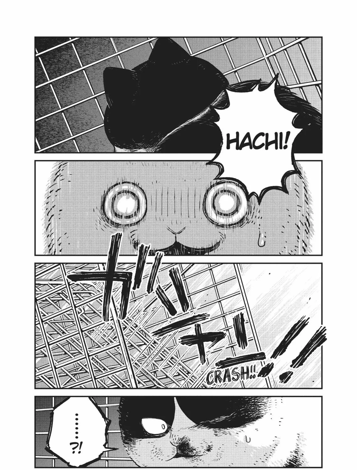 Cat Companions Maruru and Hachi Chapter 12 page 9 - 