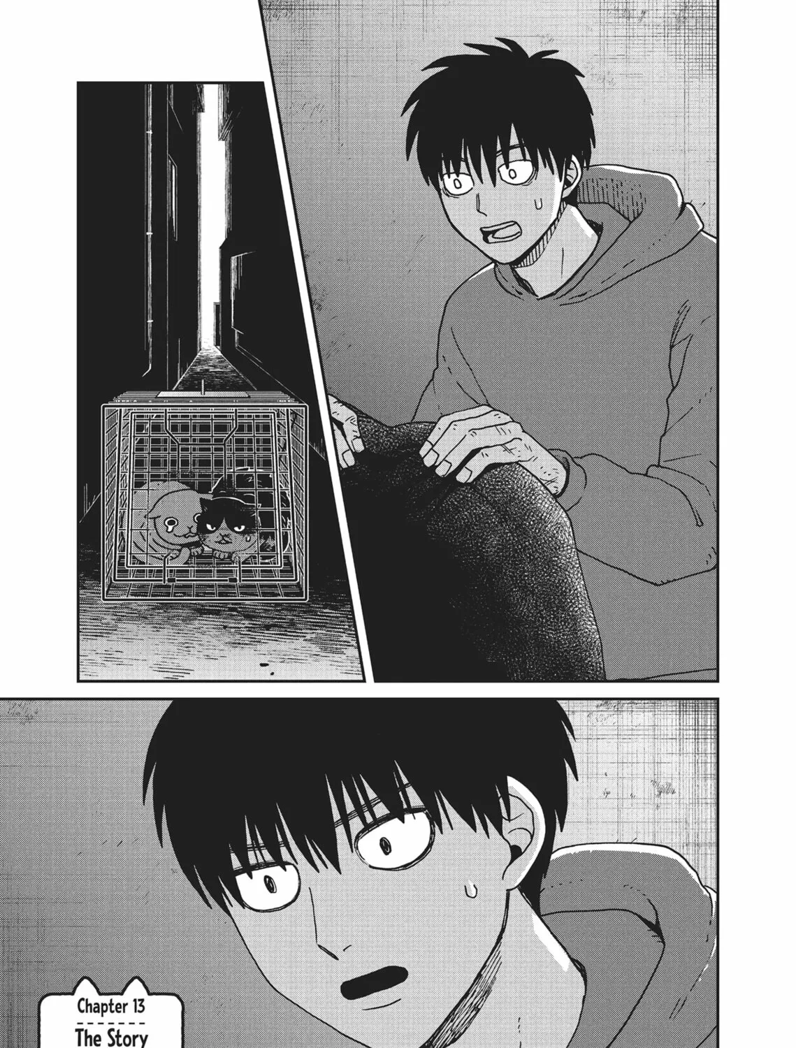 Cat Companions Maruru and Hachi Chapter 13 page 1 - 