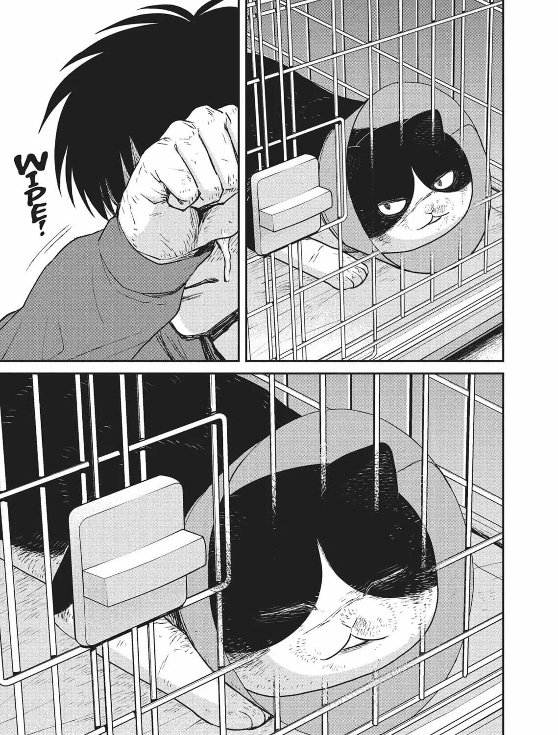 Cat Companions Maruru and Hachi Chapter 13 page 17 - 